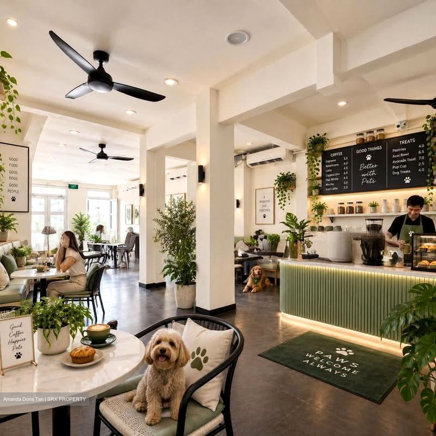 Macpherson Road (D13), Retail #627537281